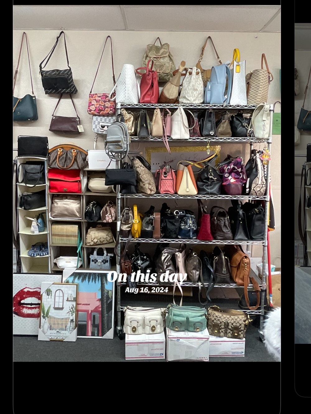 ♡Purse Show♡ - Picture 2 of 16
